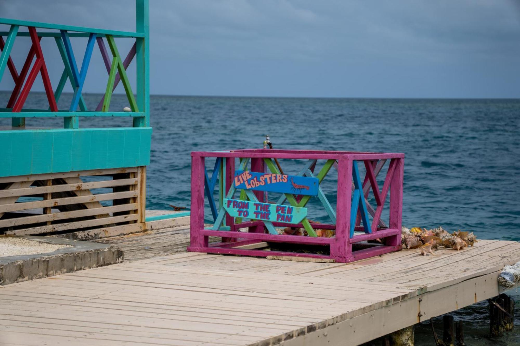 King Lewey'S Island Resort Placencia 外观 照片