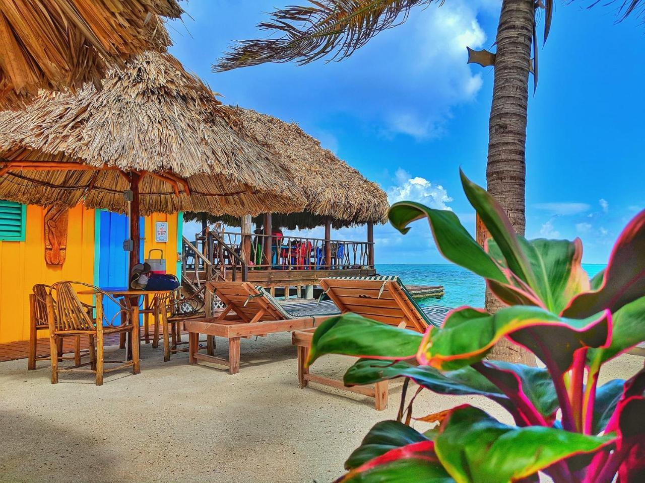 King Lewey'S Island Resort Placencia 外观 照片